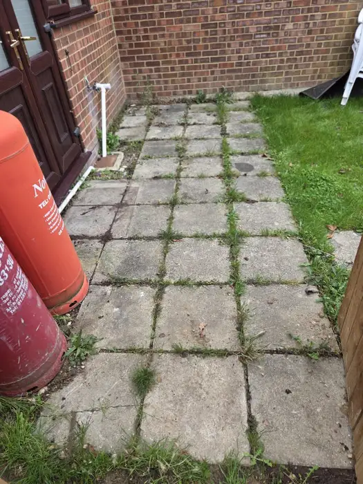 Weed-covered concrete patio slabs before cleaning